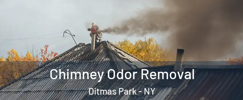 Chimney Odor Removal Ditmas Park - NY