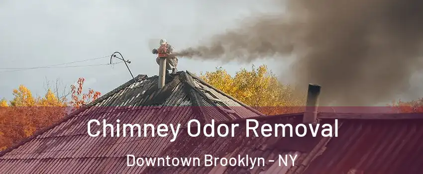 Chimney Odor Removal Downtown Brooklyn - NY