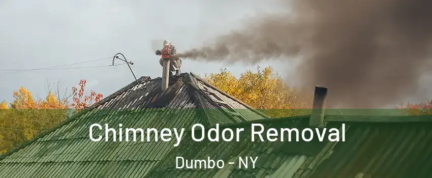 Chimney Odor Removal Dumbo - NY