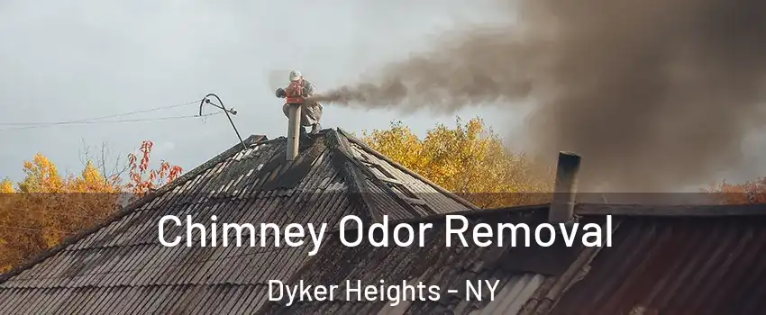 Chimney Odor Removal Dyker Heights - NY