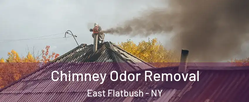 Chimney Odor Removal East Flatbush - NY