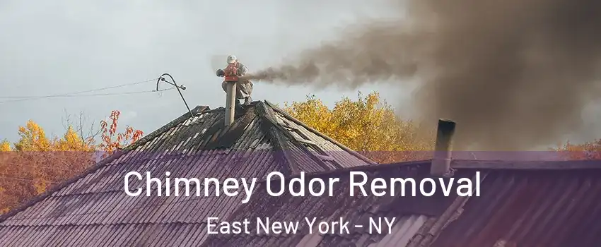 Chimney Odor Removal East New York - NY