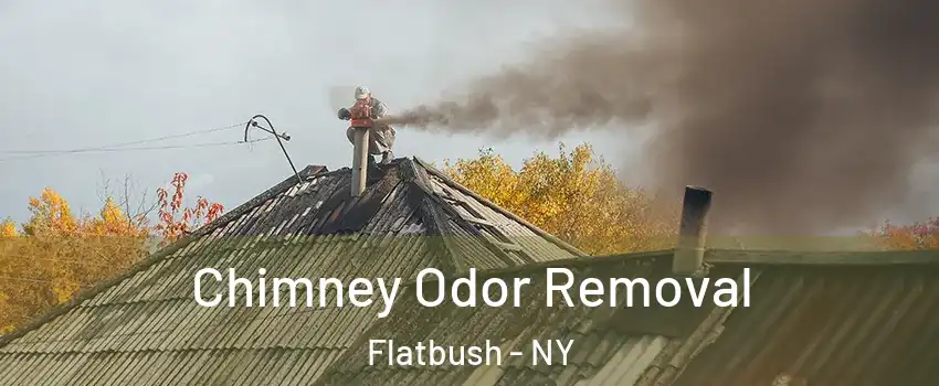 Chimney Odor Removal Flatbush - NY