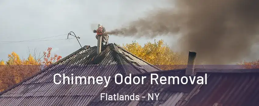 Chimney Odor Removal Flatlands - NY