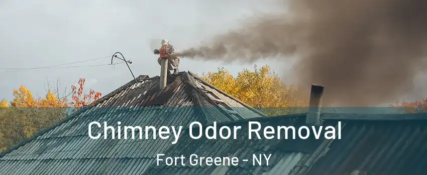 Chimney Odor Removal Fort Greene - NY