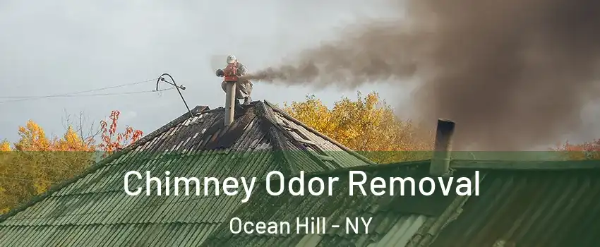 Chimney Odor Removal Ocean Hill - NY