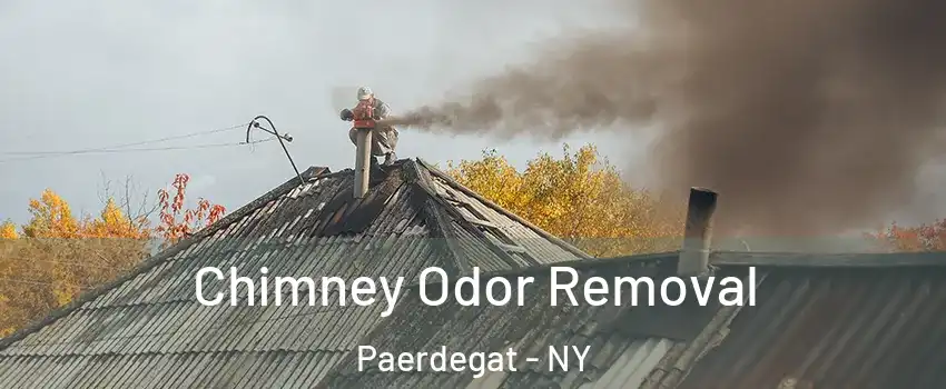 Chimney Odor Removal Paerdegat - NY