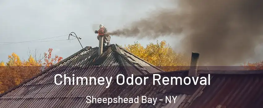 Chimney Odor Removal Sheepshead Bay - NY