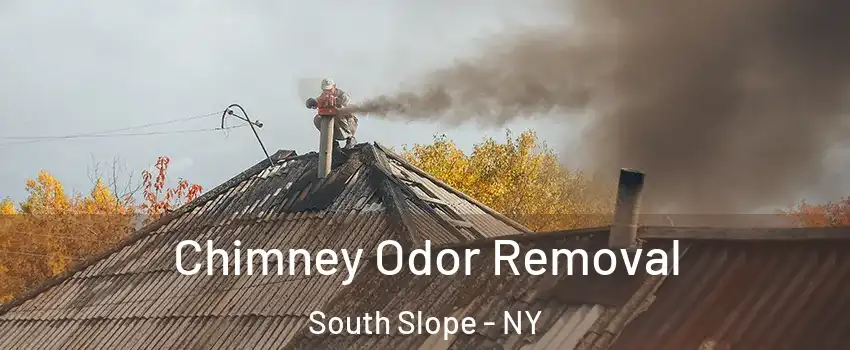 Chimney Odor Removal South Slope - NY