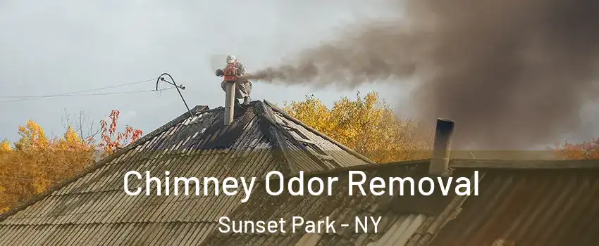 Chimney Odor Removal Sunset Park - NY