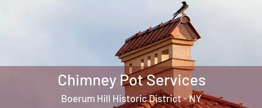 Chimney Pot Services Boerum Hill Historic District - NY