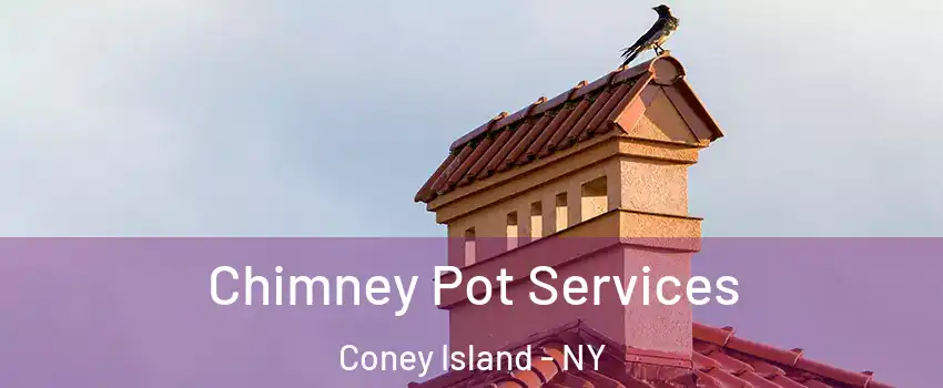 Chimney Pot Services Coney Island - NY