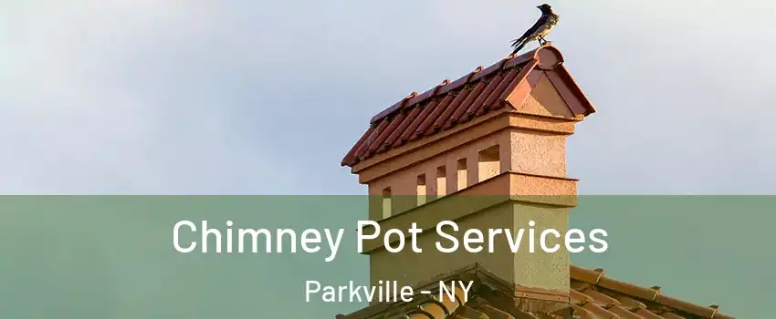 Chimney Pot Services Parkville - NY