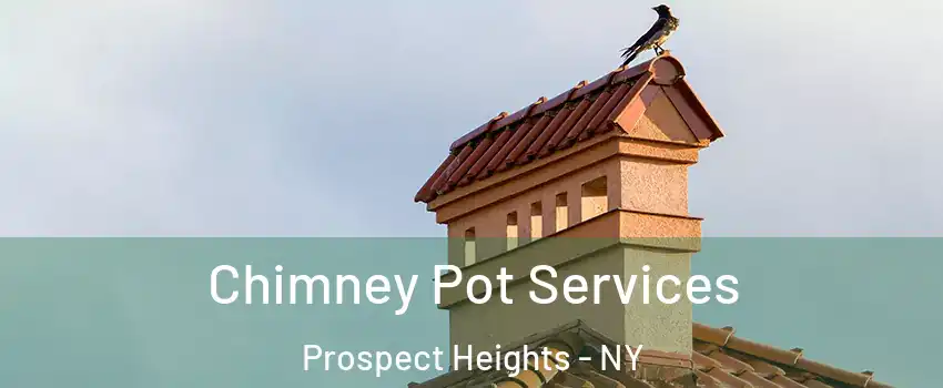 Chimney Pot Services Prospect Heights - NY