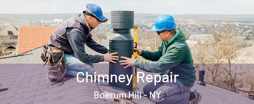 Chimney Repair Boerum Hill - NY