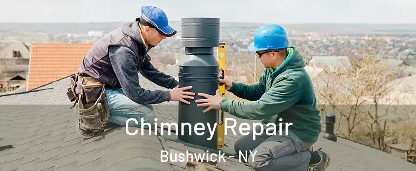 Chimney Repair Bushwick - NY