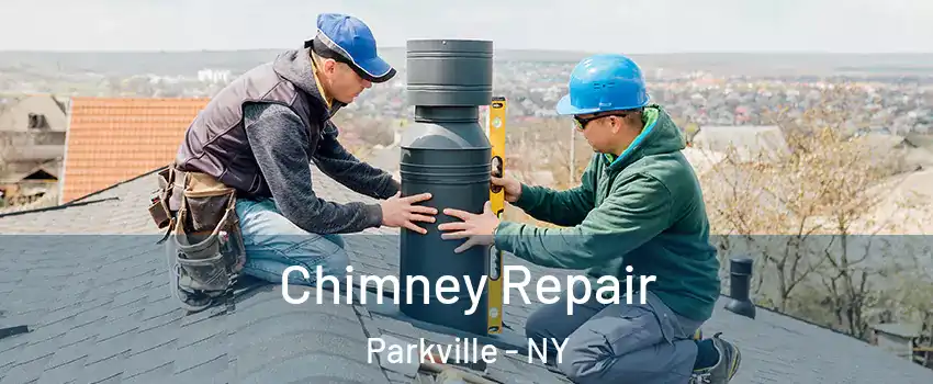 Chimney Repair Parkville - NY