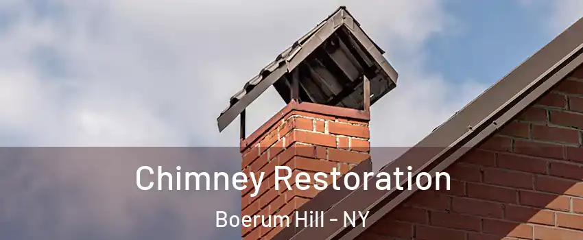 Chimney Restoration Boerum Hill - NY