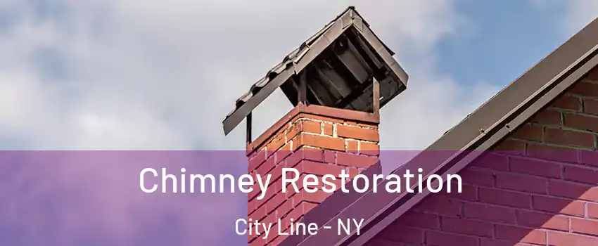 Chimney Restoration City Line - NY