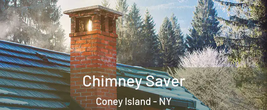 Chimney Saver Coney Island - NY