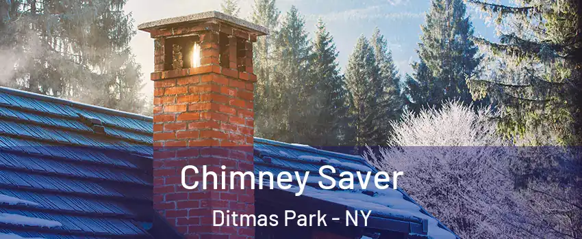 Chimney Saver Ditmas Park - NY