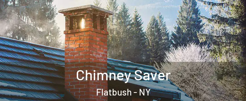 Chimney Saver Flatbush - NY