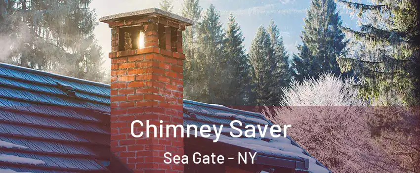 Chimney Saver Sea Gate - NY