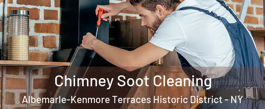 Chimney Soot Cleaning Albemarle-Kenmore Terraces Historic District - NY