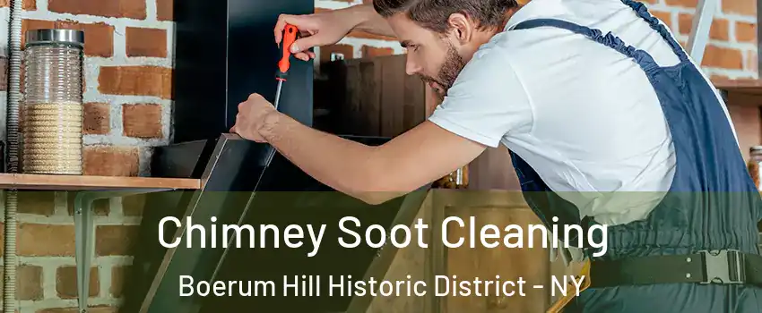 Chimney Soot Cleaning Boerum Hill Historic District - NY