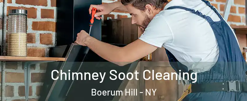 Chimney Soot Cleaning Boerum Hill - NY