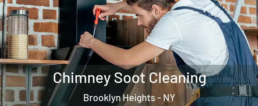 Chimney Soot Cleaning Brooklyn Heights - NY