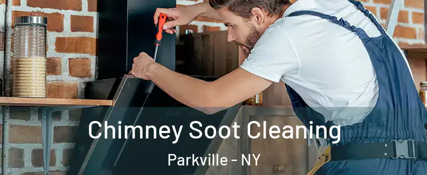 Chimney Soot Cleaning Parkville - NY