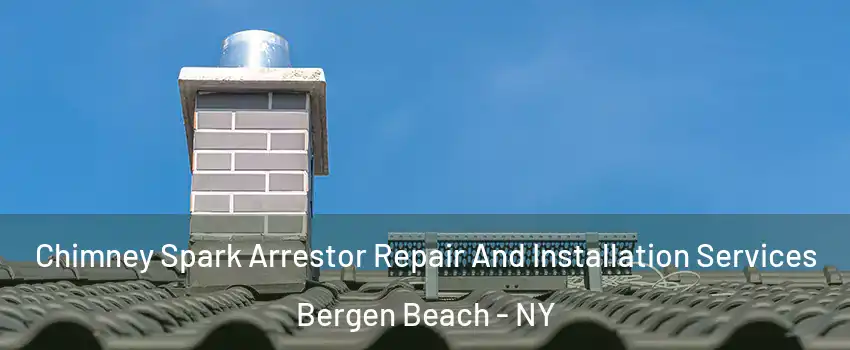 Chimney Spark Arrestor Repair And Installation Services Bergen Beach - NY