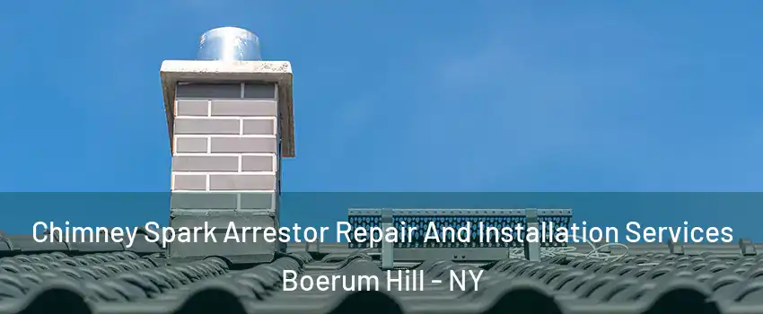 Chimney Spark Arrestor Repair And Installation Services Boerum Hill - NY