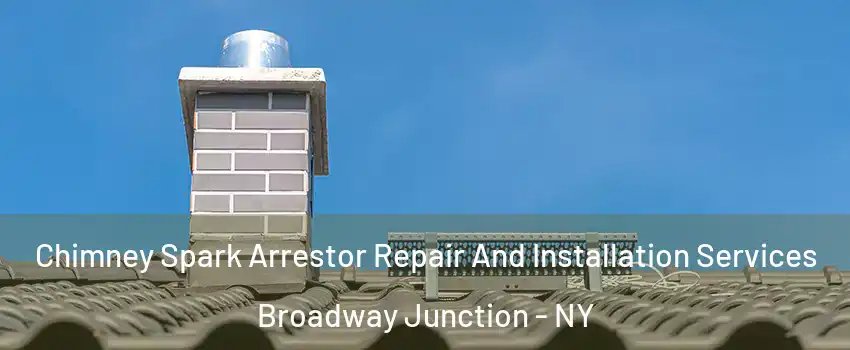 Chimney Spark Arrestor Repair And Installation Services Broadway Junction - NY