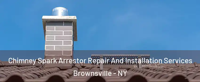 Chimney Spark Arrestor Repair And Installation Services Brownsville - NY