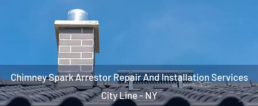 Chimney Spark Arrestor Repair And Installation Services City Line - NY