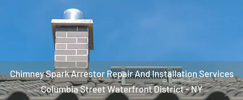 Chimney Spark Arrestor Repair And Installation Services Columbia Street Waterfront District - NY