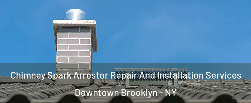 Chimney Spark Arrestor Repair And Installation Services Downtown Brooklyn - NY