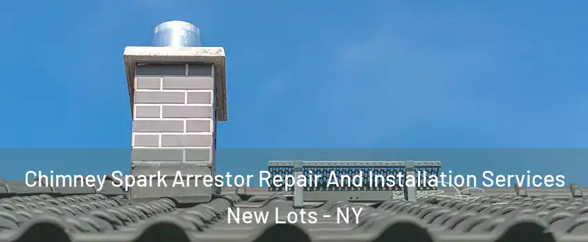 Chimney Spark Arrestor Repair And Installation Services New Lots - NY