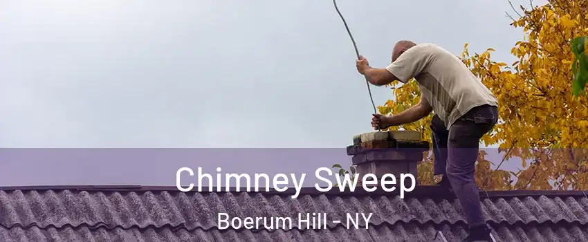 Chimney Sweep Boerum Hill - NY