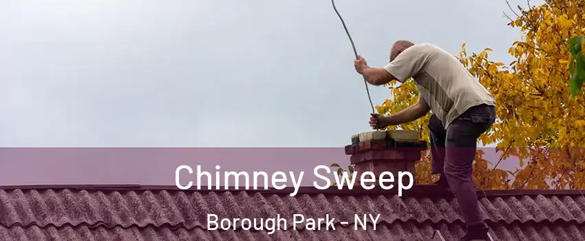 Chimney Sweep Borough Park - NY