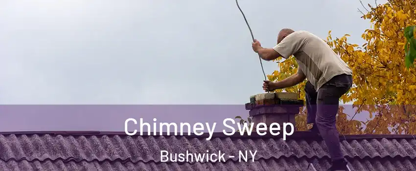 Chimney Sweep Bushwick - NY