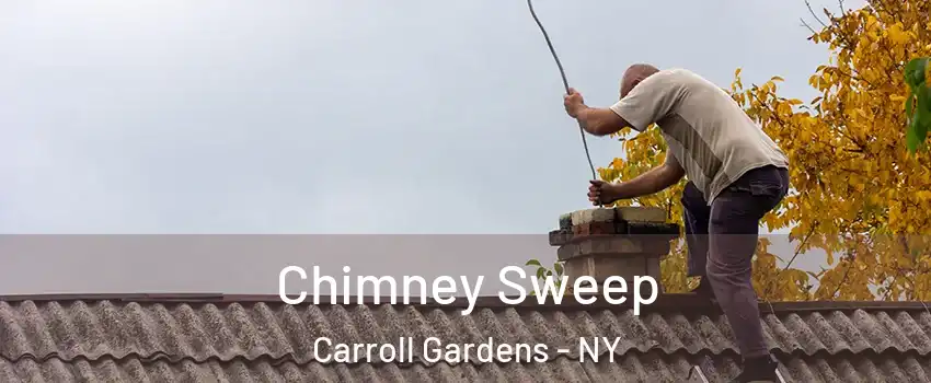 Chimney Sweep Carroll Gardens - NY