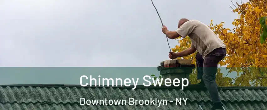 Chimney Sweep Downtown Brooklyn - NY