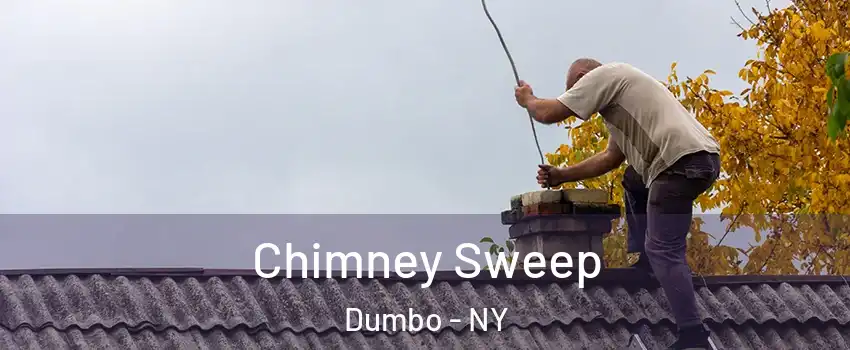 Chimney Sweep Dumbo - NY