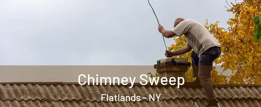 Chimney Sweep Flatlands - NY