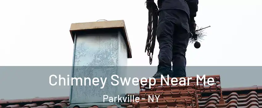 Chimney Sweep Near Me Parkville - NY