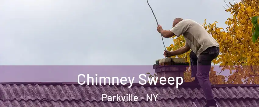 Chimney Sweep Parkville - NY