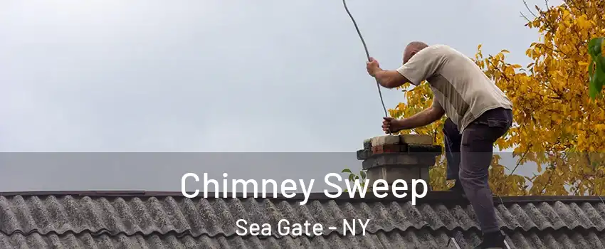 Chimney Sweep Sea Gate - NY